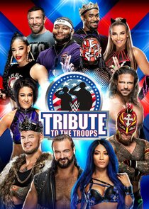 WWE Tribute to the Troops poster