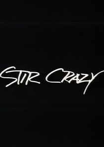 Stir Crazy poster