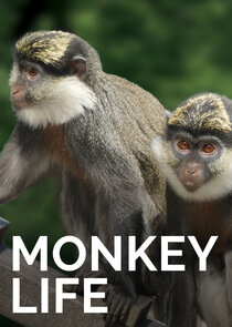 Monkey Life poster