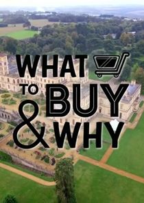 What to Buy and Why poster
