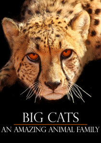 Big Cats: An Amazing Animal Family poster