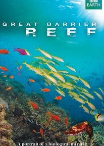 Great Barrier Reef poster