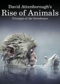 David Attenborough's Rise of Animals poster