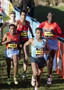 Great Edinburgh International Cross Country poster