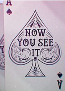 Now You See It poster