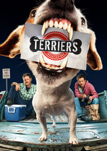 Terriers poster
