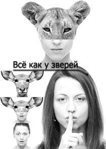 Всё как у зверей poster