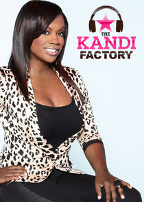 The Kandi Factory poster