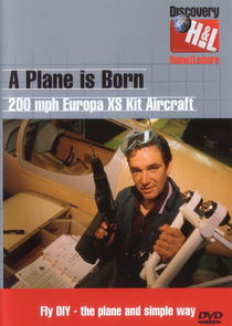 A Plane is Born poster