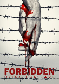 Forbidden: Dying for Love poster
