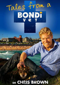 Bondi Vet poster