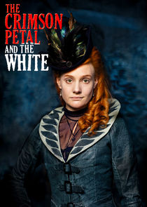 The Crimson Petal and the White poster