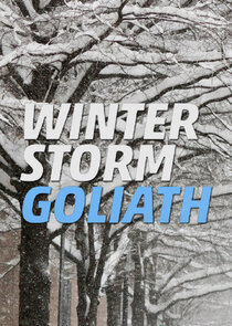Winter Storm Goliath poster