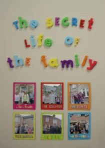 The Secret Life of the Family poster