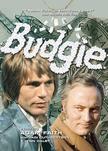 Budgie poster