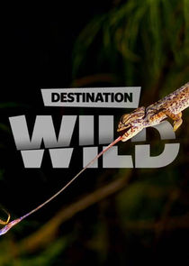 Destination Wild poster