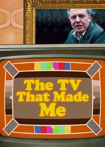 The TV That Made Me poster