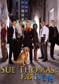 Sue Thomas F.B.Eye poster