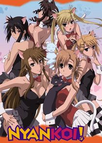 Nyan Koi! poster