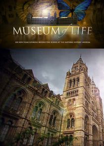 Museum of Life poster