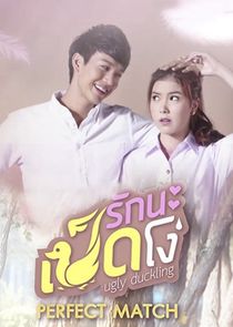 Ugly Duckling Series: Perfect Match poster