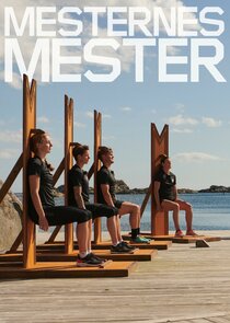 Mesternes Mester poster