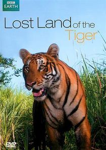 Lost Land of the Tiger poster