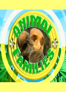 Animal Families poster