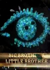 Big Brother's Little Brother poster