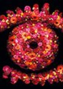 Ultimate Big Brother poster