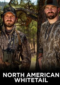 North American Whitetail poster