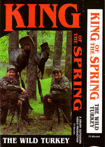 King of the Spring poster