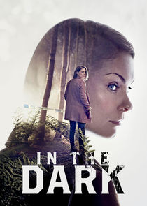 In the Dark poster