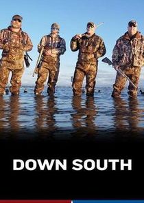 Down South poster