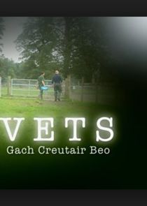 Vets: Gach Creutair Beo poster