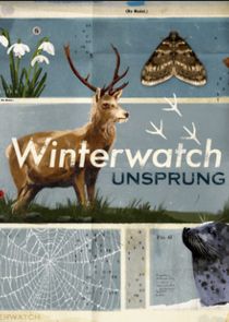Winterwatch Unsprung poster