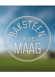 Baksteen in de Maag poster