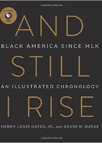 Black America Since MLK: And Still I Rise poster