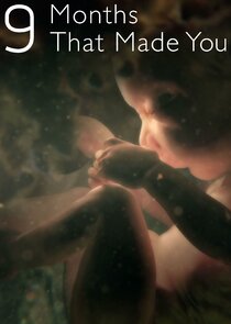 The Nine Months That Made You poster