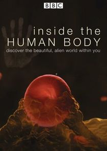 Inside the Human Body poster