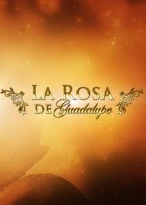 La rosa de Guadalupe poster