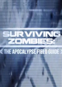Surviving Zombies poster