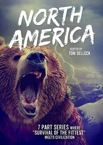 North America poster