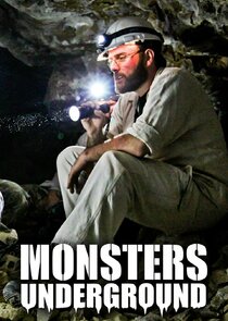 Monsters Underground poster
