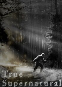 True Supernatural poster