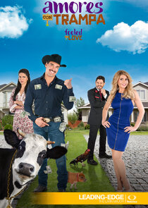 Amores con trampa poster
