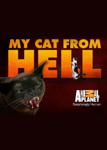 My Cat from Hell poster