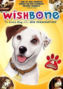 Wishbone poster