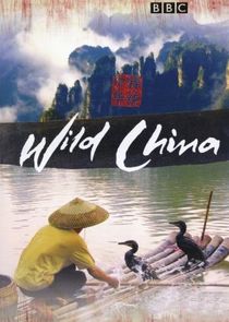 Wild China poster