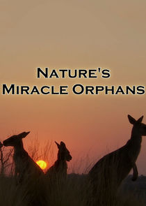 Nature's Miracle Orphans poster